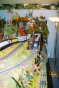 Doyne034