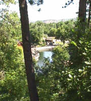 Spearfish